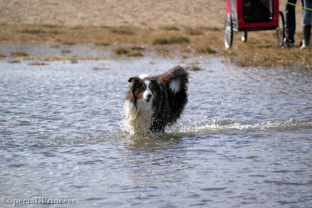 Sky in het water